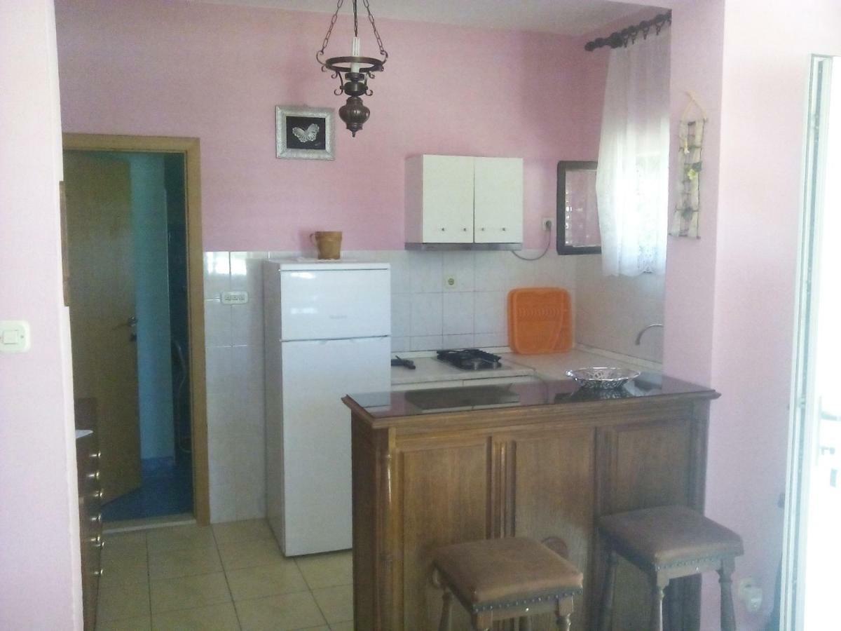 Apartments Petko روغوزنيكا المظهر الخارجي الصورة
